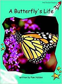 A Butterfly's Life: Fluency (Red Rocket Readers: Fluency Level 2: Turquoise)