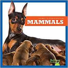 Mammals (Animal Classification)