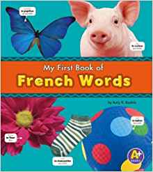 French Words (A+ Books: Bilingual Picture Dictionaries) (English and Multilingual Edition)