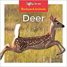 Deer (Backyard Animals)