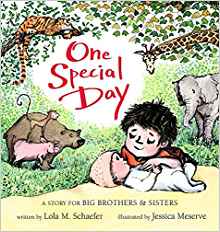 One Special Day: A Story for Big Brothers and Sisters