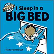 I Sleep in a Big Bed (Big Kid Power)