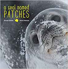 A Seal Named Patches