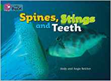 Spines, Stings and Teeth Workbook (Collins Big Cat)