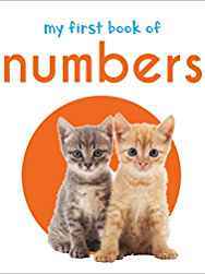 My First Book Of Numbers : First Board Book