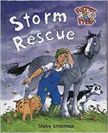 Storm Rescue