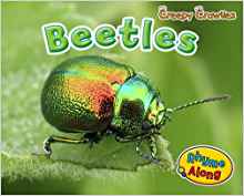 Beetles (Creepy Crawlies)