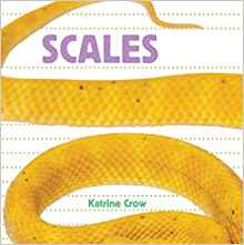 Scales (Whose Is It?)