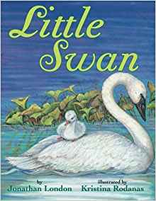 Little Swan