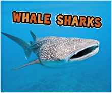 Whale Sharks (Pebble Plus: All About Sharks)