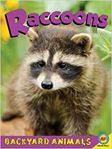 Raccoons (Backyard Animals)