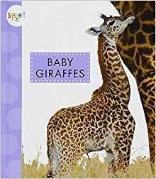 Baby Giraffes (Spot (Library))