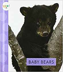 Baby Bears (Spot (Library))