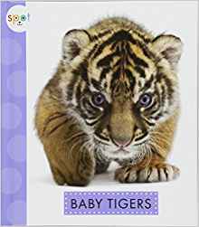 Baby Tigers (Spot (Library))