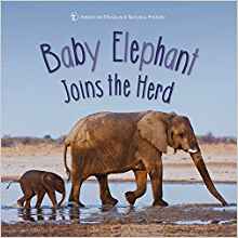 Baby Elephant Joins the Herd (First Discoveries)