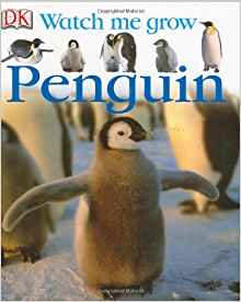 Penguin (Watch Me Grow)