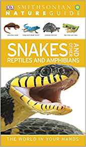 Nature Guide: Snakes and Other Reptiles and Amphibians: The World in Your Hands (DK Nature Guide)