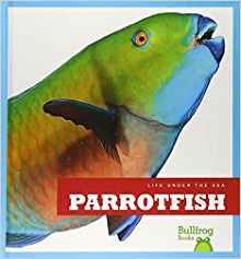 Parrotfish (Bullfrog Books: Life Under the Sea)