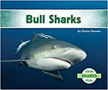 Bull Sharks