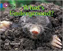 What's Underground? Workbook)