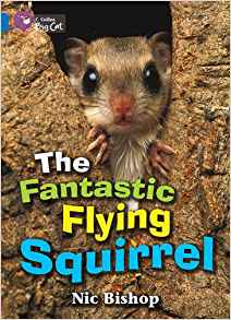 The Fantastic Flying Squirrel Workbook (Collins Big Cat)