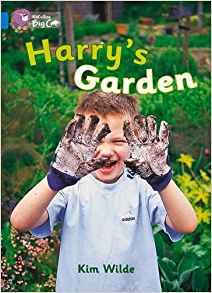 Harry's Garden Workbook (Collins Big Cat)