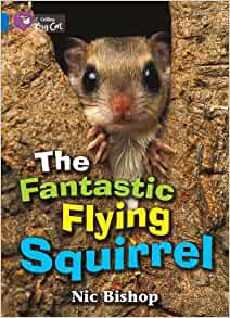 The Fantastic Flying Squirrel (Collins Big Cat)