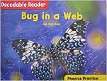 McGraw-Hill Decodable Reader Grade K Bug in a Web