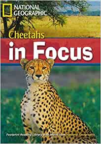 Cheetahs in Focus (Footprint Reading Library)