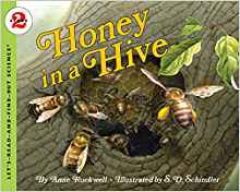 Honey in a Hive (Let's-Read-and-Find-Out Science 2)