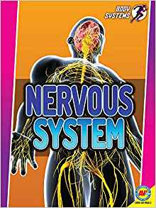 Nervous System (Body Systems)