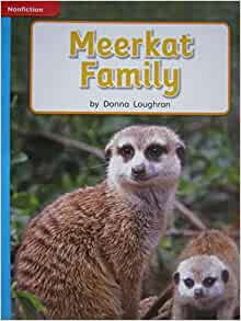 Meerkat Family