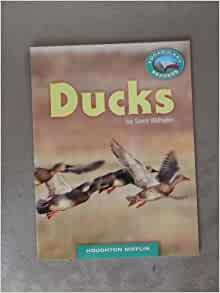 Ducks Grade 1 Houghton Mifflin Vocabulary Reader Accompanies Journeys by Sara Wilhelm (2010-05-03)