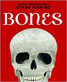 Bones: Skeletons and How They Work: Skeletons and How They Work