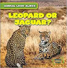 Leopard or Jaguar? (Animal Look-Alikes)