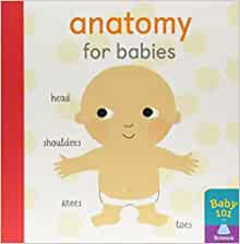 Anatomy For Babies