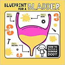 Blueprint for a Bladder (How to Build a Human Body)