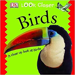 Birds : Look Closer