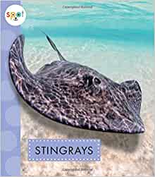 Stingrays (Spot Ocean Animals)