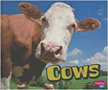 Cows (Farm Animals)