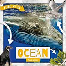 Ocean Food Webs