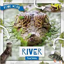 River Food Webs