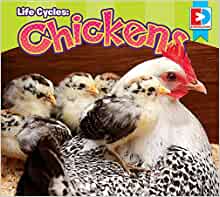 Life Cycles: Chickens (Eyediscover)