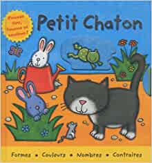 PETIT CHATON (Pousse,tourne, tire et soulève)