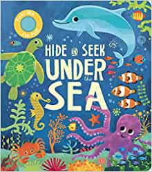 Hide & Seek Under The Sea