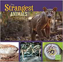 The Strangest Animals in the World (All About Animals)