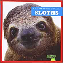 Sloths (Bullfrog Books: My First Animal Library)