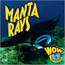 Manta Rays (World of Wonder)