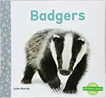 Badgers (Nocturnal Animals (Abdo Kids Junior))