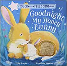 Goodnight My Honey Bunny